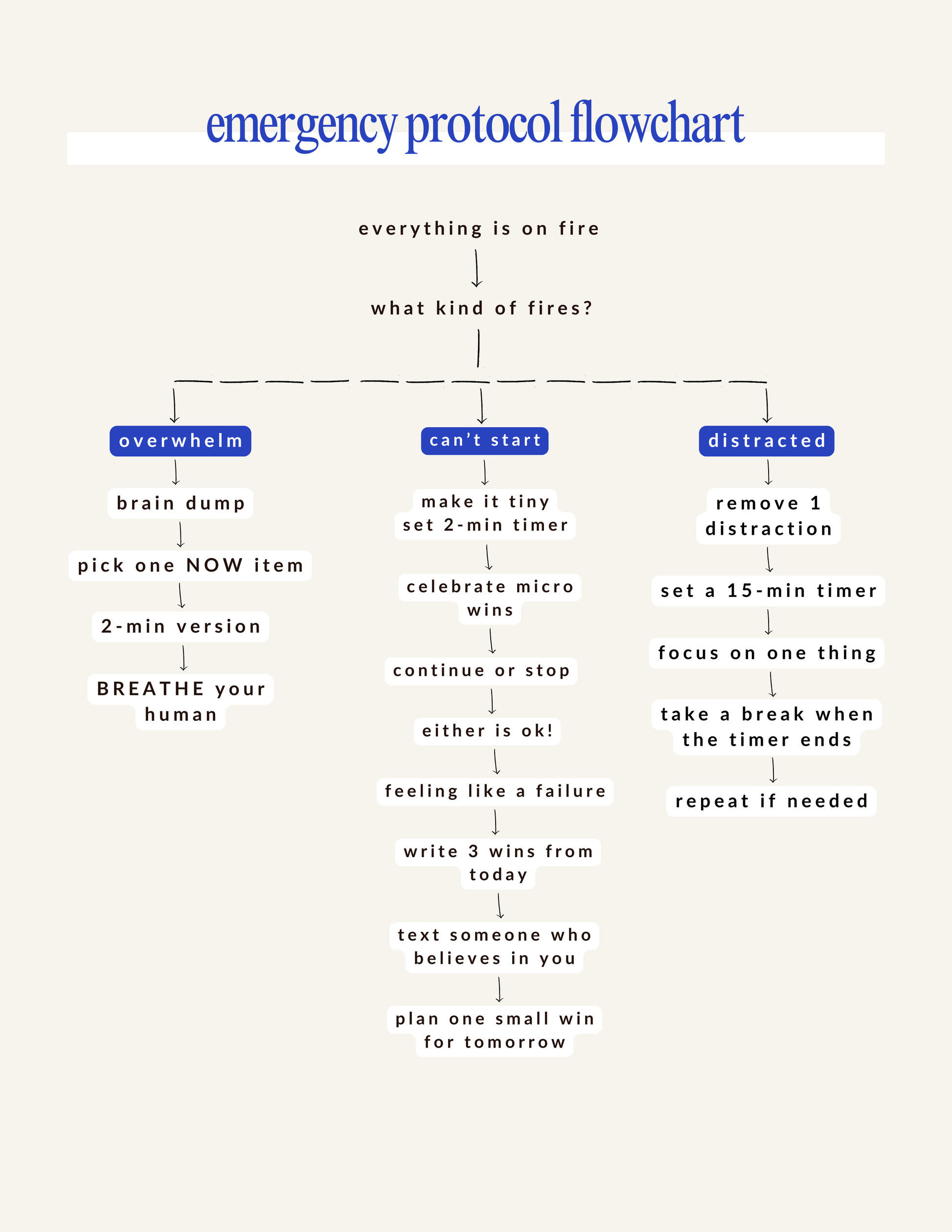 The Noodler: a chaos management system for adulting with ADHD - PG RATED